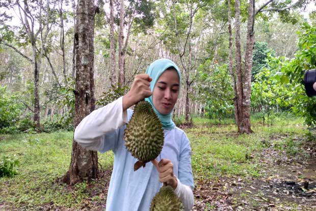 Berburu Nikmatnya Durian...