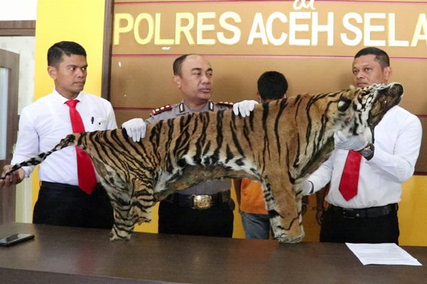 Satreskrim Polres Aceh...