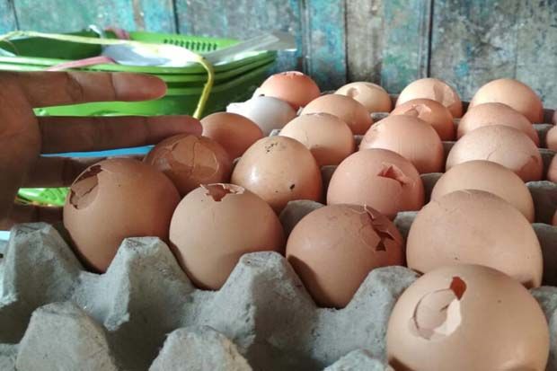Telur Sortiran alias...