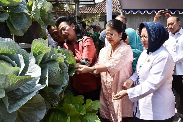 Kelompok Wanita Tani...