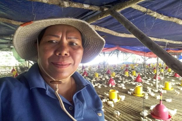Harga Daging Ayam Diprediksi...