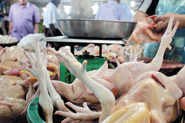 Pasokan Cukup, Harga...