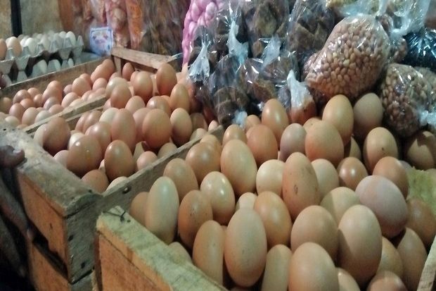 Harga Telur di Majalengka...