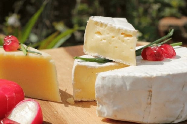 Keju Cheddar Bikin Obesitas,...