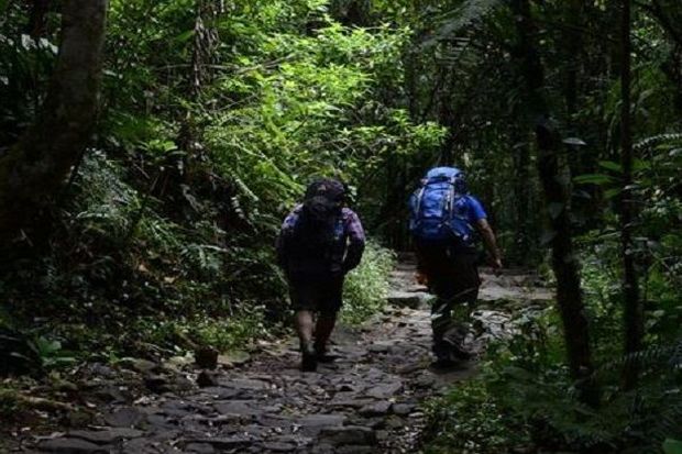 Jalur Pendakian Taman...