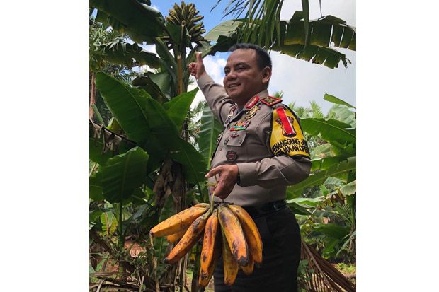 Khasiat Pisang Tongka...