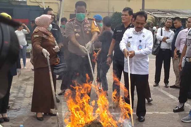 Polda Sumut Musnahkan...