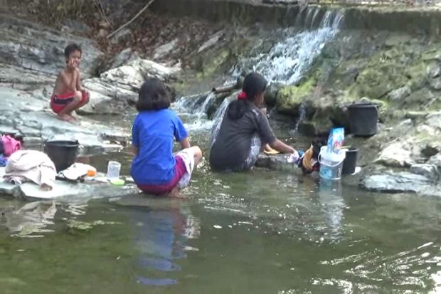 Dilanda Kekeringan,...