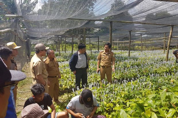 Kawasan Kakao Berbasis...