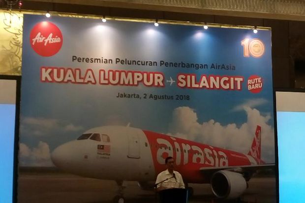 Privatisasi, Pemerintah...