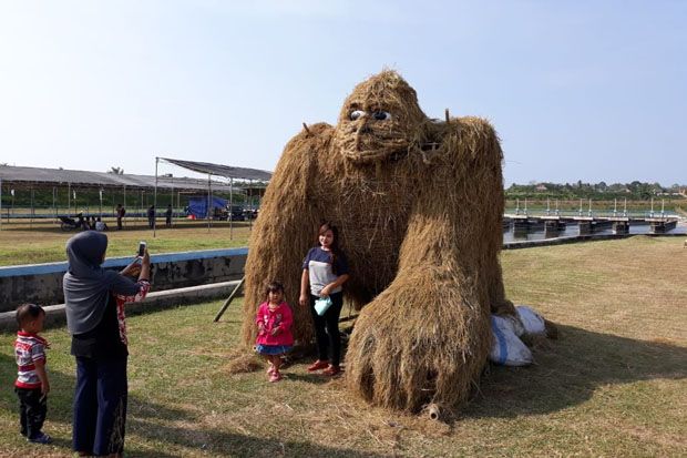 Festival Jerami Pembuktian...