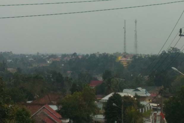 Sudah Dua Pekan Lebih...