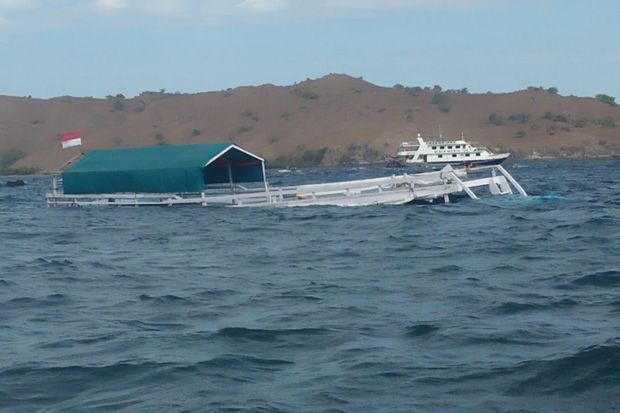 Antar Wisman Snorkeling,...