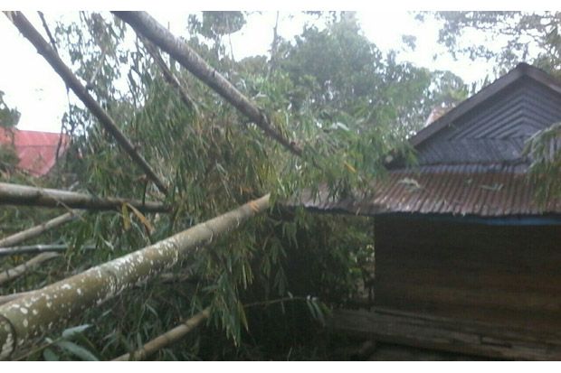 2 Warga Luka Parah Akibat...