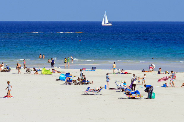 Curi Pasir Pantai Sardinia,...