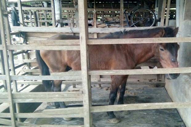 Gadis Malang Tewas Terseret...