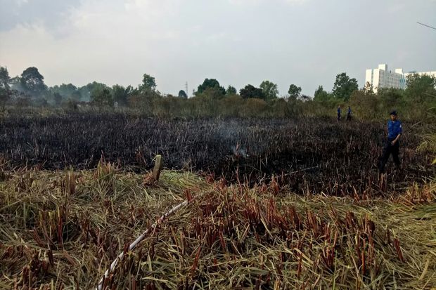 Lahan Kosong di Jakabaring...