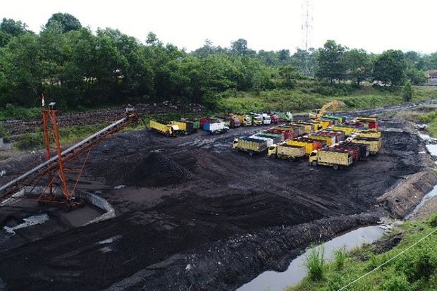 Brand Scruft Jadi Komitmen...