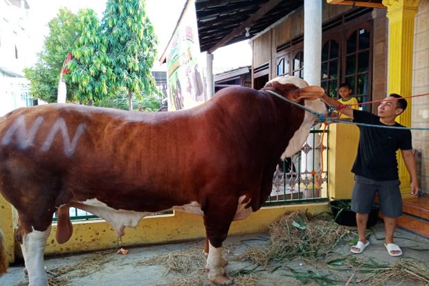 Warga Kaliwungu Kurban...