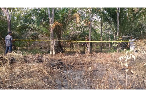 Bakar Sampah Kebun,...