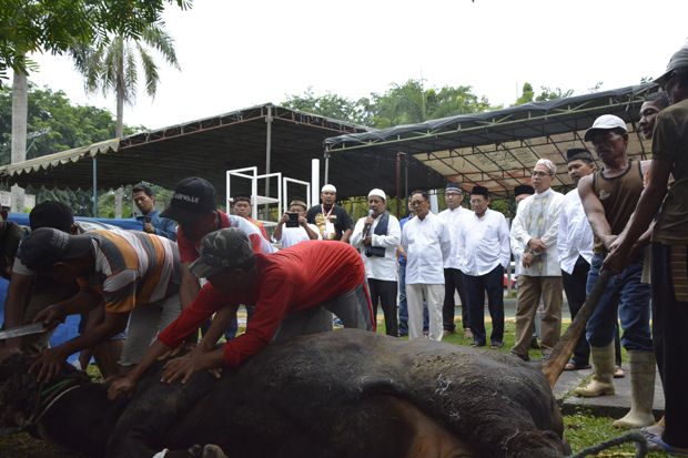 Rayakan Idul Adha, Pelindo-1...