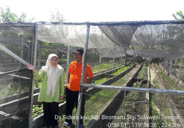 Sulteng Dukung Penuh...