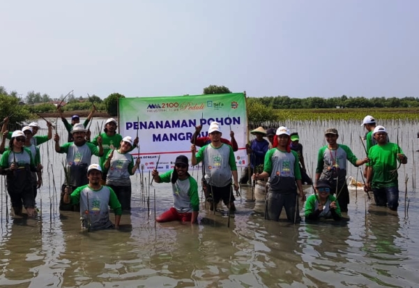 Kurangi Abrasi Pantai,...