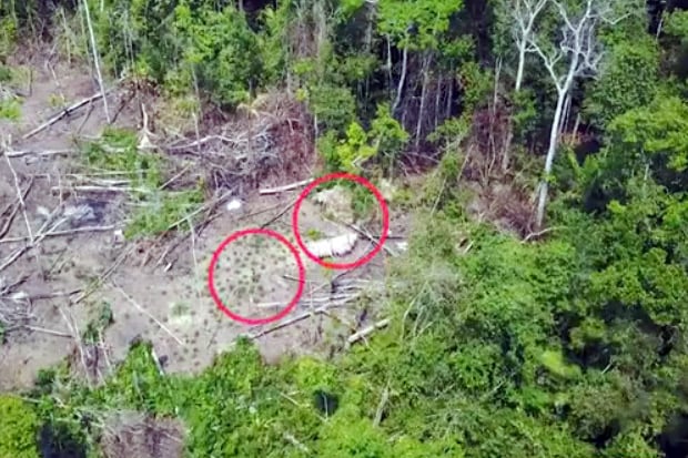 Rekaman Video Drone...