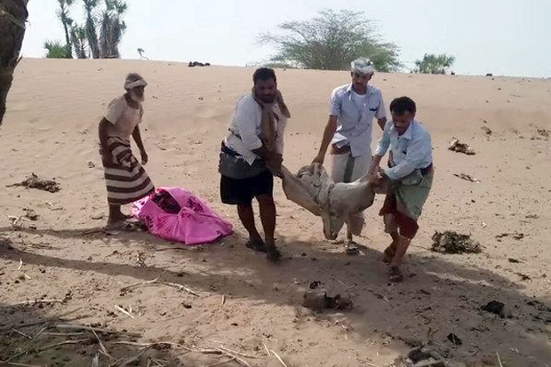PBB: Serangan Saudi...