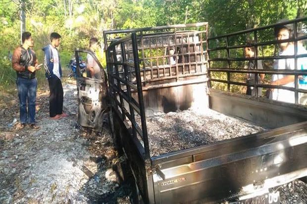 Pencuri Kerbau di Riau...