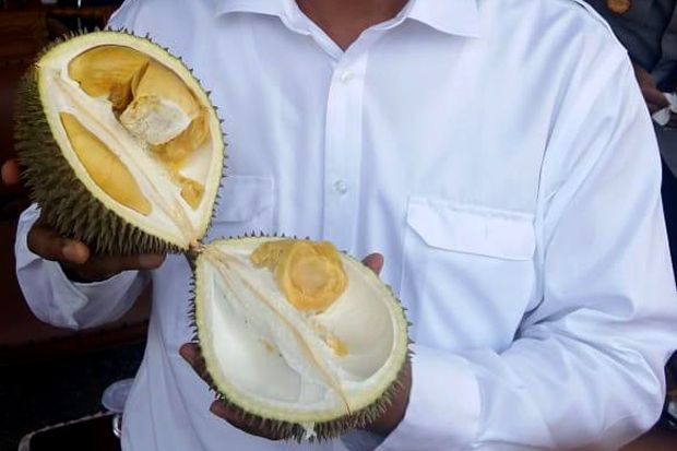 Kementan Pede Durian...
