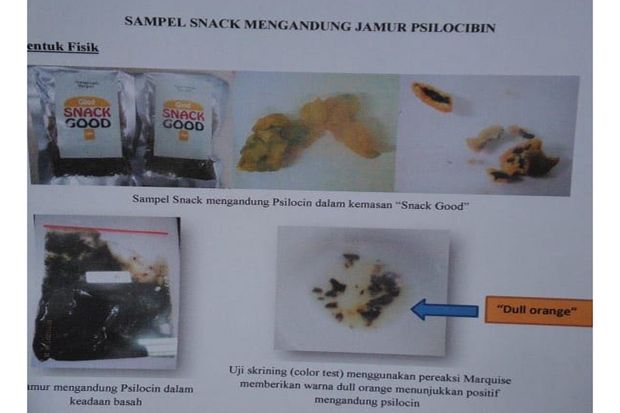 Tim BNN Temukan Keripik...