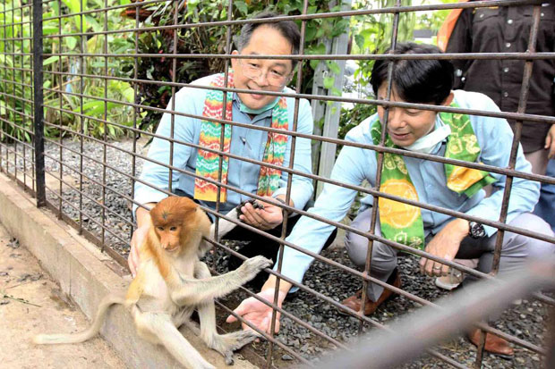 Aksi Hijaukan Kalimantan,...