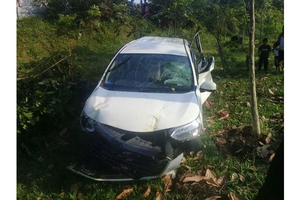 Tabrak Pohon di Ruas...