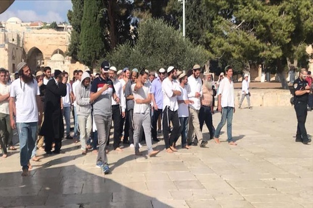 Ratusan Pemukiman Israel...