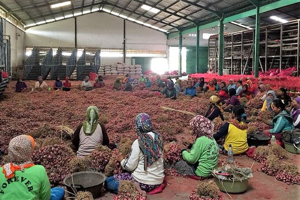 Pasokan Meningkat, Harga...