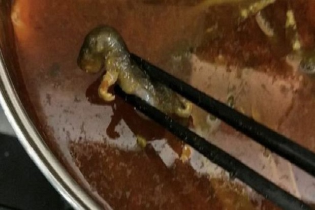 Ada Tikus di Sup Wanita...