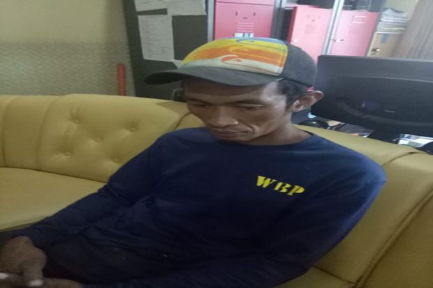 Jalani Asimilasi di...