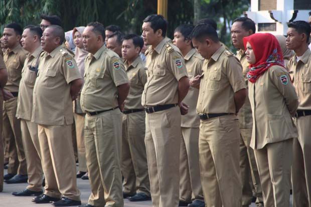 Realisasi Usulan CPNS...