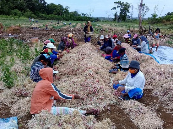 Harga Bawang dan Cabai...