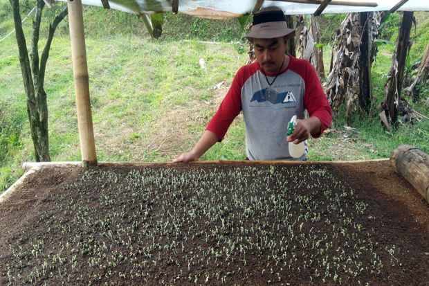 Petani Muda Siap Dorong...