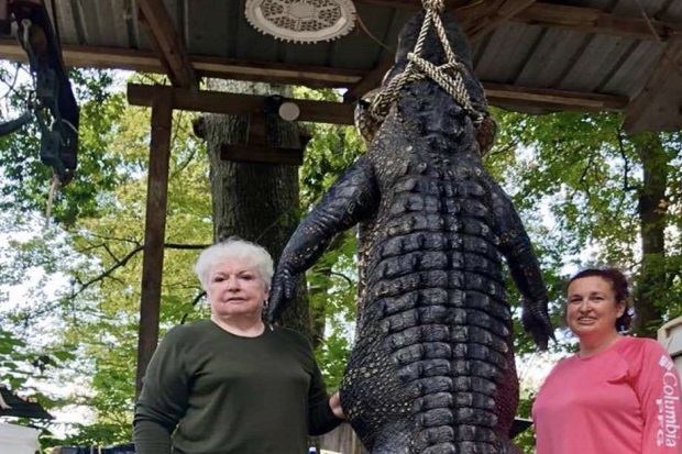 Nenek Ini Habisi Buaya...
