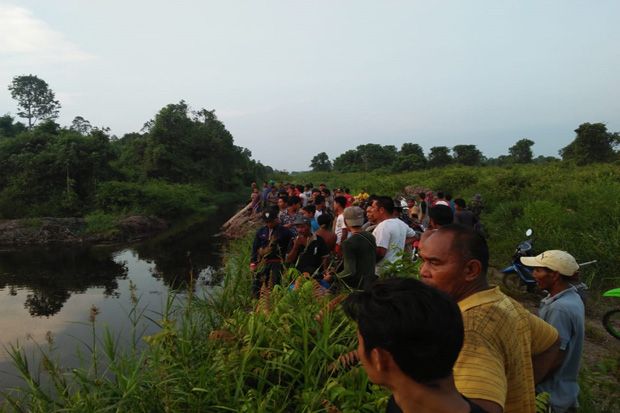Diduga Diserang Buaya,...