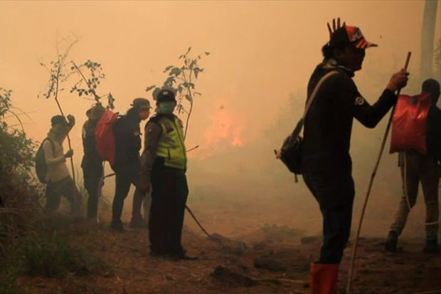 500 Hektare Hutan Gunung...