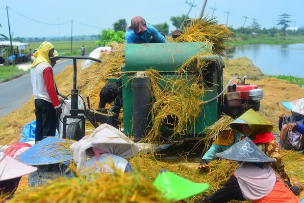 Kedaulatan Pangan Terancam...