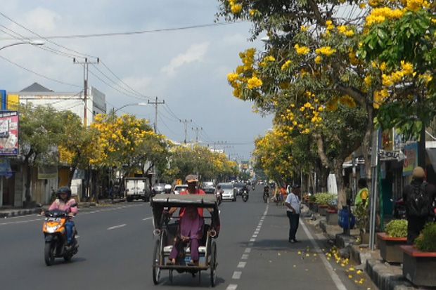 Viral dan Bikin Heboh,...