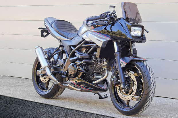 Suzuki SV650 Concept...