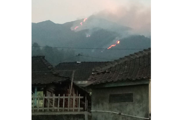 Kebakaran Hutan di Gunung...