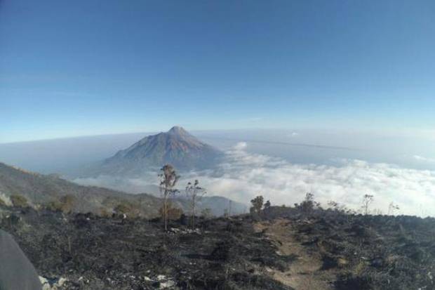 Pipa Terbakar, Ribuan...