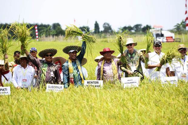 Jadikan Rawa Lahan Pertanian,...